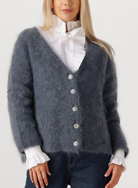 Donkergrijze AMAYA AMSTERDAM Vest ROOS KNITWEAR - large