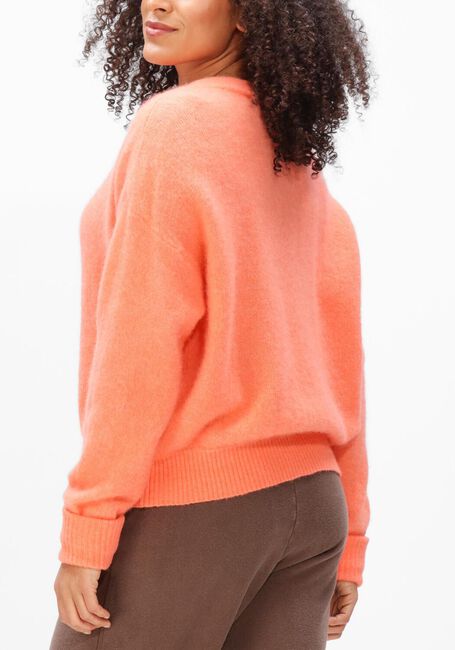 Oranje AMERICAN VINTAGE Trui VITOW - large