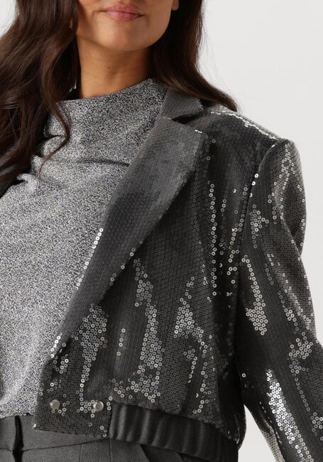 Grijze AAIKO Blazer MILLE SEQUINS PES 356 - large