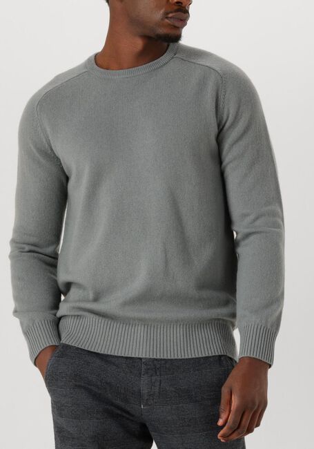 Grijze STEFANO LAURAN Trui CREW L - large