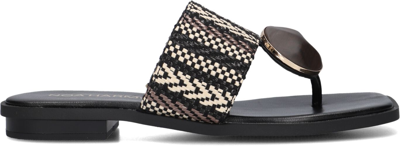 Noa Harmon Slippers
Dames 9226, Maat: 40, Materiaal: Raffia, Kleur: Zwart