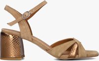 Bruine LINA LOCCHI Sandalen L1400 Bruine LINA LOCCHI Sandalen L1400 - medium