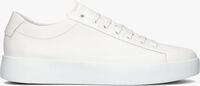 Witte BLACKSTONE Sneakers BG350 - medium