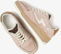 Roze VIA VAI Lage sneakers SAM LEVI - medium