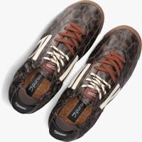 Bruine PURAAI Lage sneakers 6.02 PANTHER Bruine PURAAI Lage sneakers 6.02 PANTHER - medium
