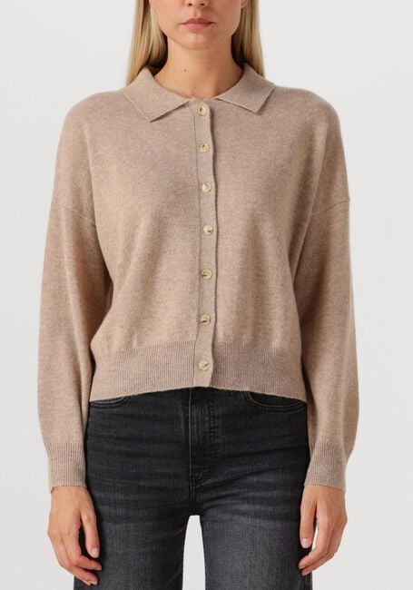 Bruine ABSOLUT CASHMERE Vest MAJURA - large