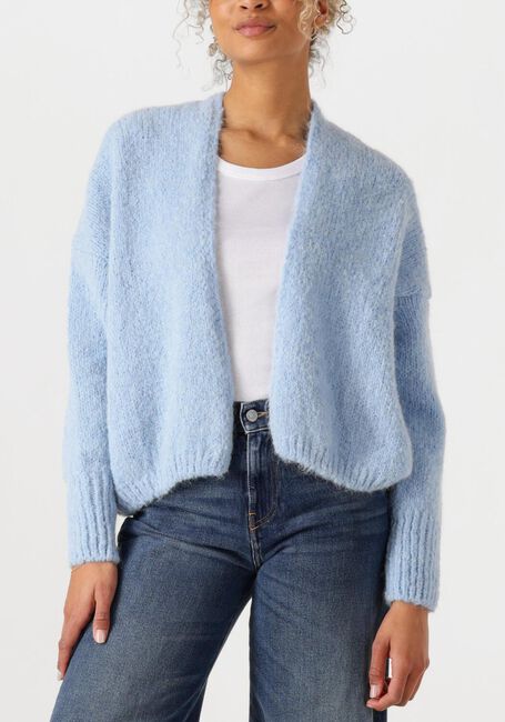 Lichtblauwe KNIT-TED Vest BECKY - large