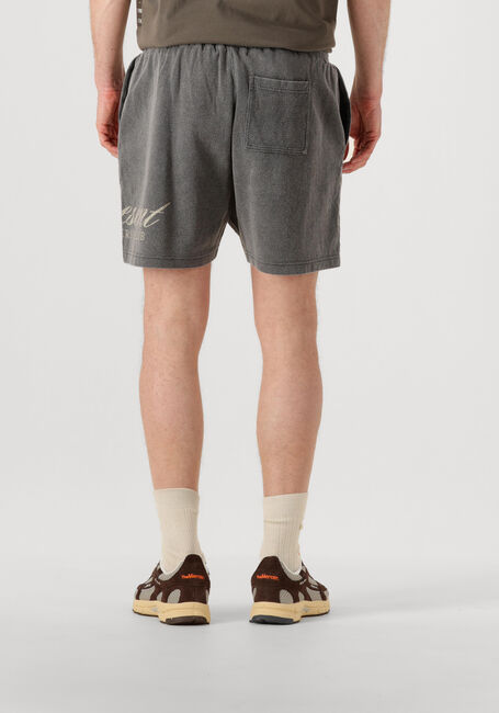Grijze REPRESENT Korte broek REPRESENT OWNERS CLUB SCRIPT SHORT - large