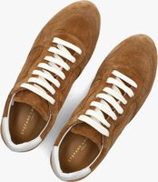 Bruine STEFANO LAURAN Lage sneakers 1SLICK103 Bruine STEFANO LAURAN Lage sneakers 1SLICK103 - medium