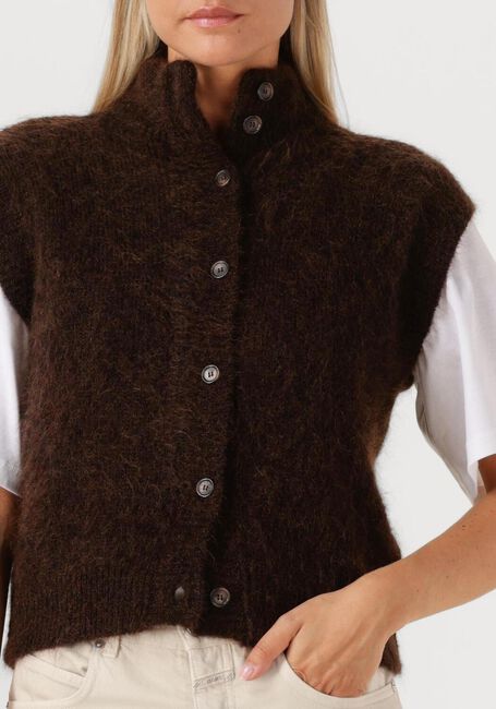 Bruine DES PETITS HAUTS Spencer ALIBOU - large