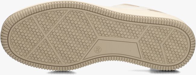 MoEa MOEA-BASGN1 MoEa MOEA-BASGN1 - large