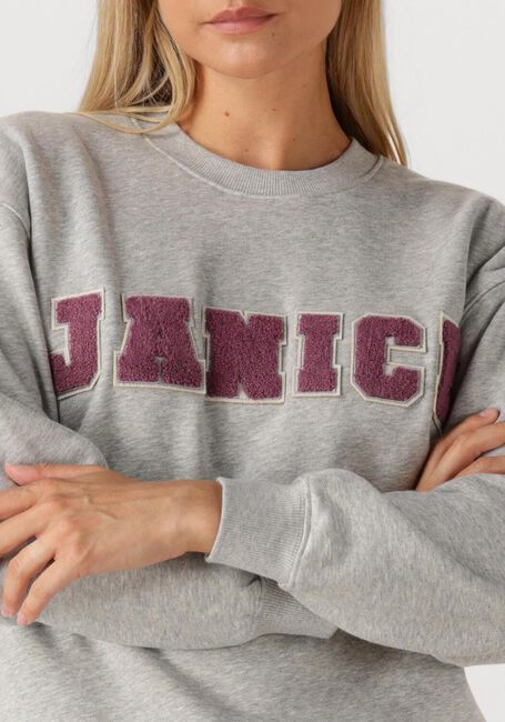 Grijze JANICE Sweater ANDY - large