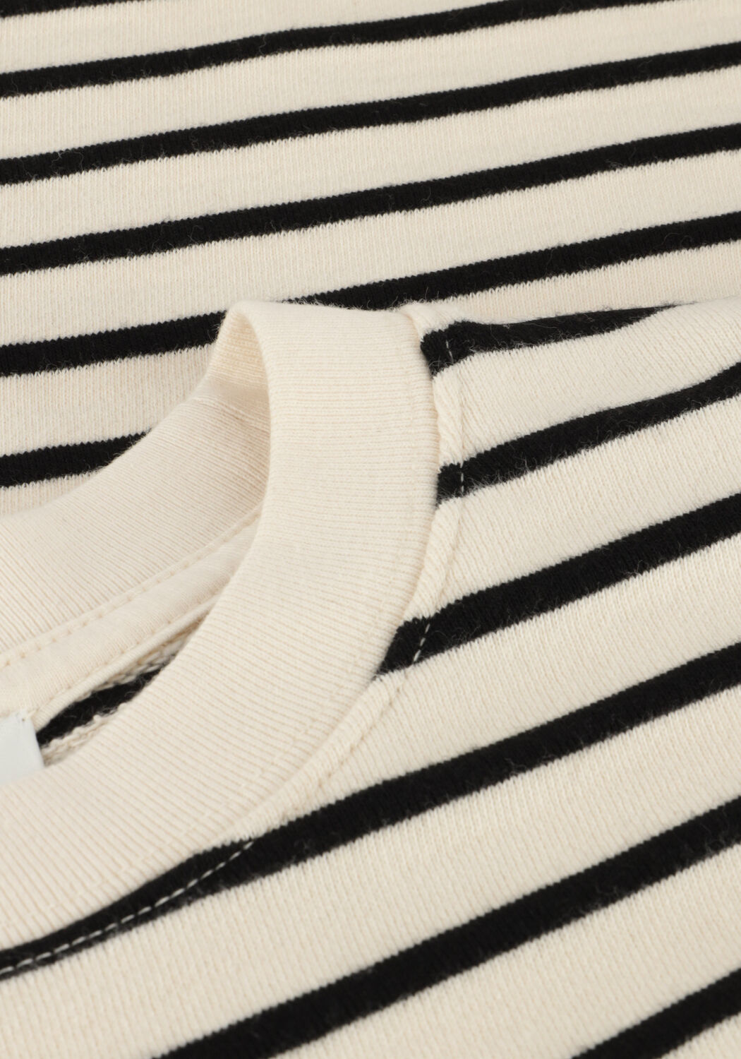 Ecru ANINE BING T-shirt MYERS CROPPED TEE - large