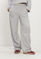 Grijze DEBLON SPORTS Broeken JAYDEN WIDE LEG JOGGER