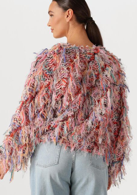 Multi AMAYA AMSTERDAM Trui JARDIN - large