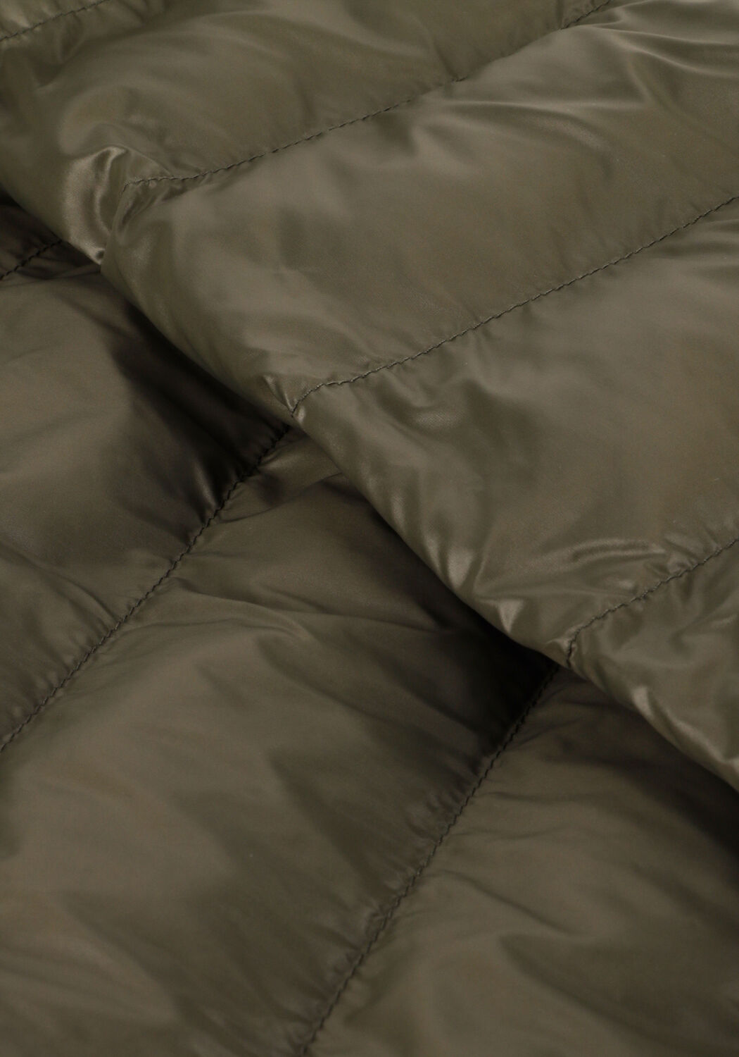 Khaki LUISA CERANO Gewatteerde jas 428511/4133 - large