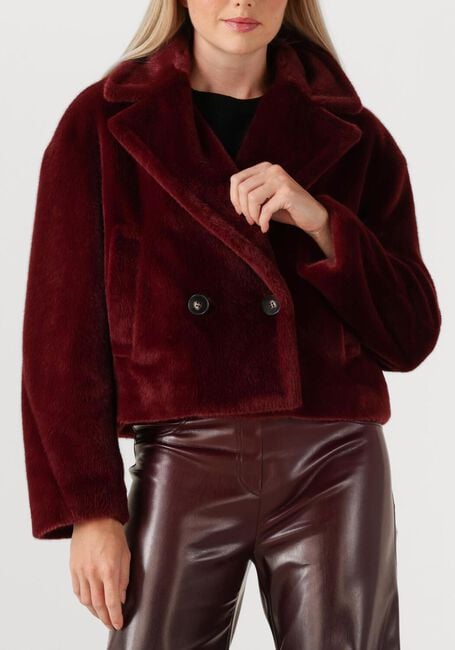 Bordeaux MARC CAIN COLLECTION Jack ZC 12.13 W42 - large