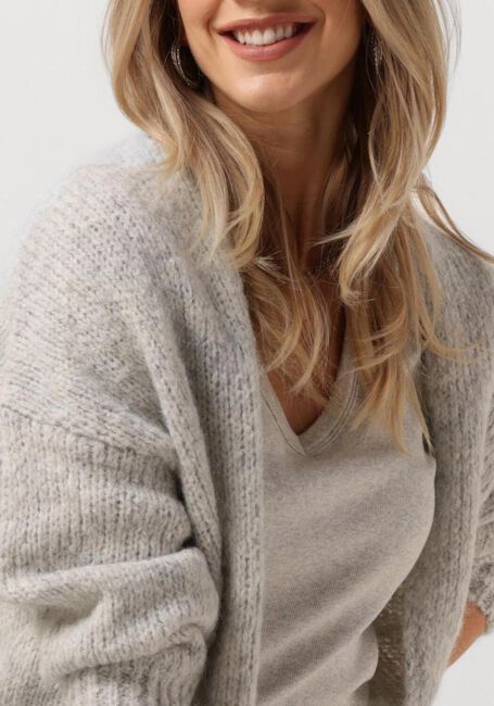 Grijze KNIT-TED Vest BECKY - large
