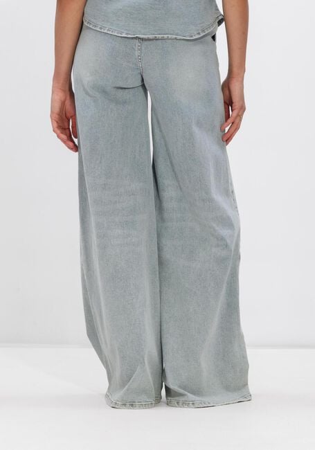 Lichtblauwe JANICE Wide jeans DEXTER - large