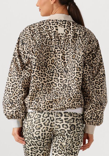 Bruine GOLDBERGH Jack ZEPHYR JACKET - large