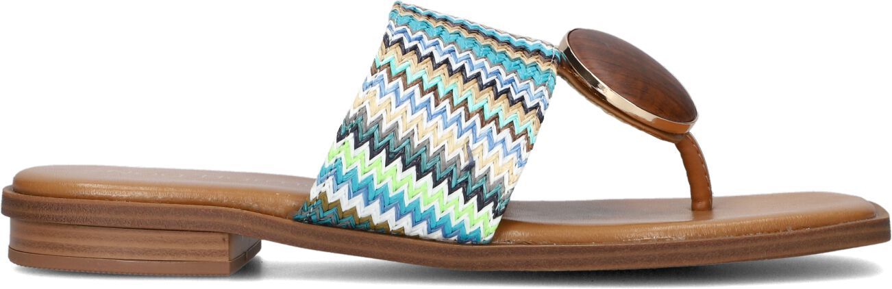 Noa Harmon Slippers
Dames 9275, Maat: 40, Materiaal: Stro, Kleur: Blauw