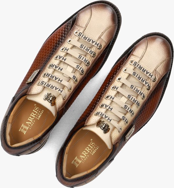 Beige HARRIS Lage sneakers 0818 Beige HARRIS Lage sneakers 0818 - large