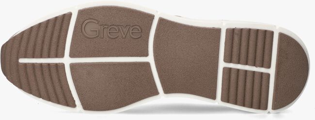 Taupe GREVE Lage sneakers WALKER H Taupe GREVE Lage sneakers WALKER H - large