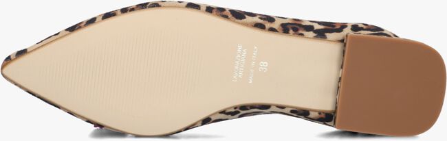 Bruine STEFANO LAURAN Loafers PISA Bruine STEFANO LAURAN Loafers PISA - large