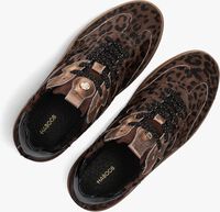 Bruine HABOOB Lage sneakers FILOU Bruine HABOOB Lage sneakers FILOU - medium