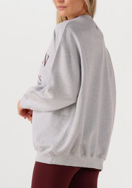 Lichtgrijze DEBLON SPORTS Sweater LILOU SWEATER - large