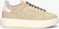 Beige WOOLRICH Lage sneakers ARROW WOMEN - medium