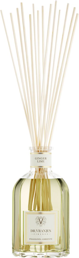 Dr. Vranjes Firenze Dr. Vranjes Firenze Huisgeur Dames Ambra Diffuser 1250ml