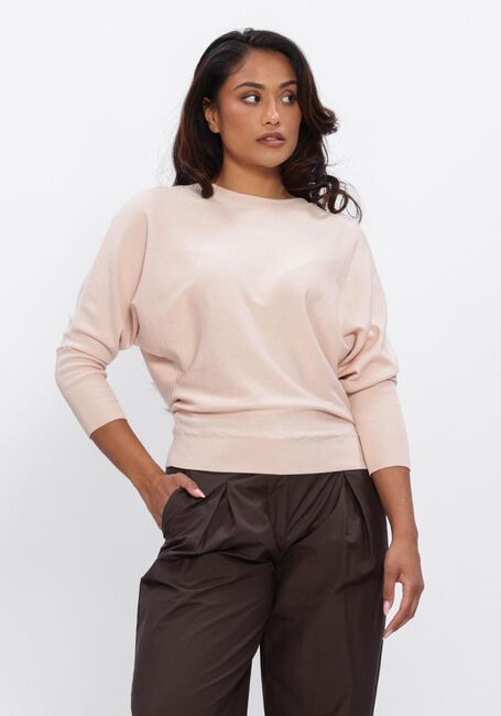 Roze NATAN Trui PULL - large