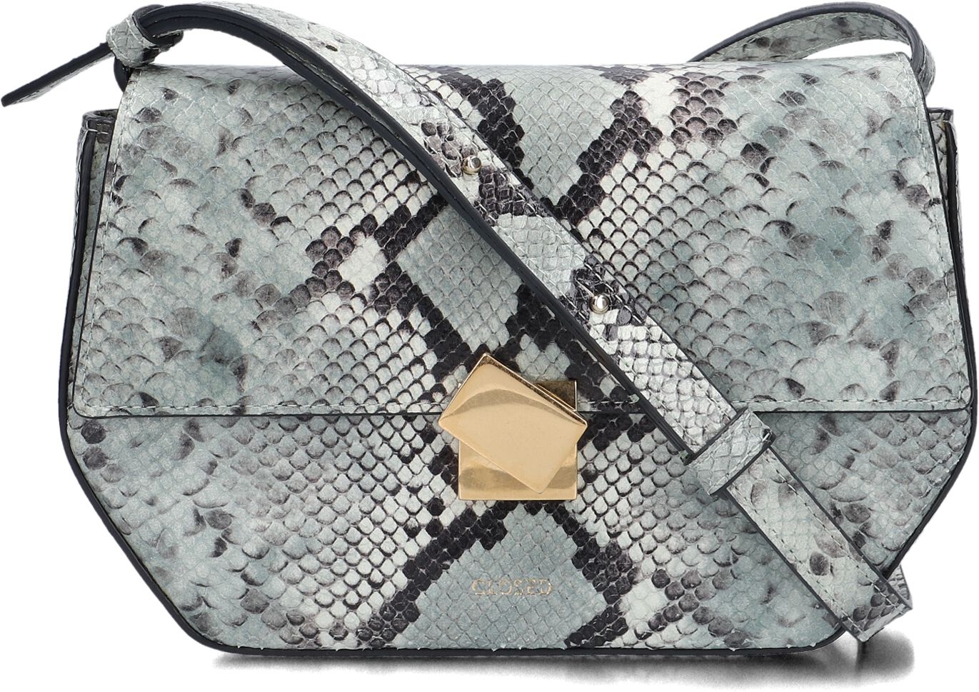 Closed Schoudertas
Dames C90424 83q 22, Materiaal: Leer, Kleur: Groen afbeelding 1