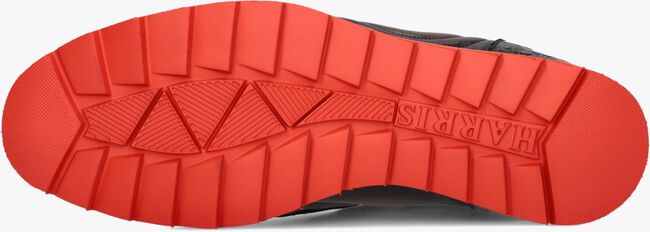 Bruine HARRIS Hoge sneakers 3023 Bruine HARRIS Hoge sneakers 3023 - large