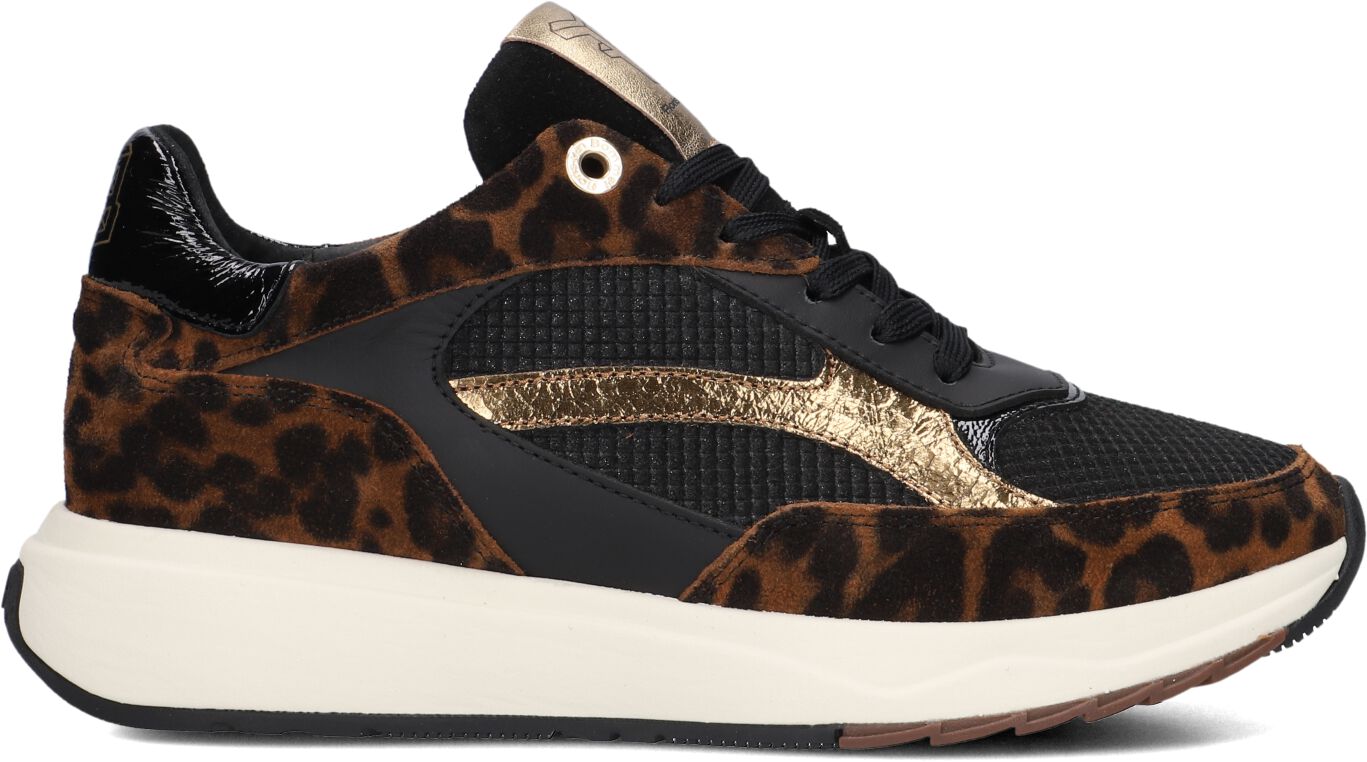 Floris van Bommel,  Sfw-10138 Suvi