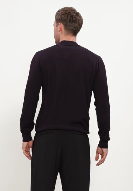 Bordeaux STEFANO LAURAN Trui TURTLE NECK MERINO - large
