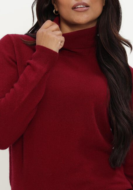 Bordeaux ABSOLUT CASHMERE Trui THEMYS - large