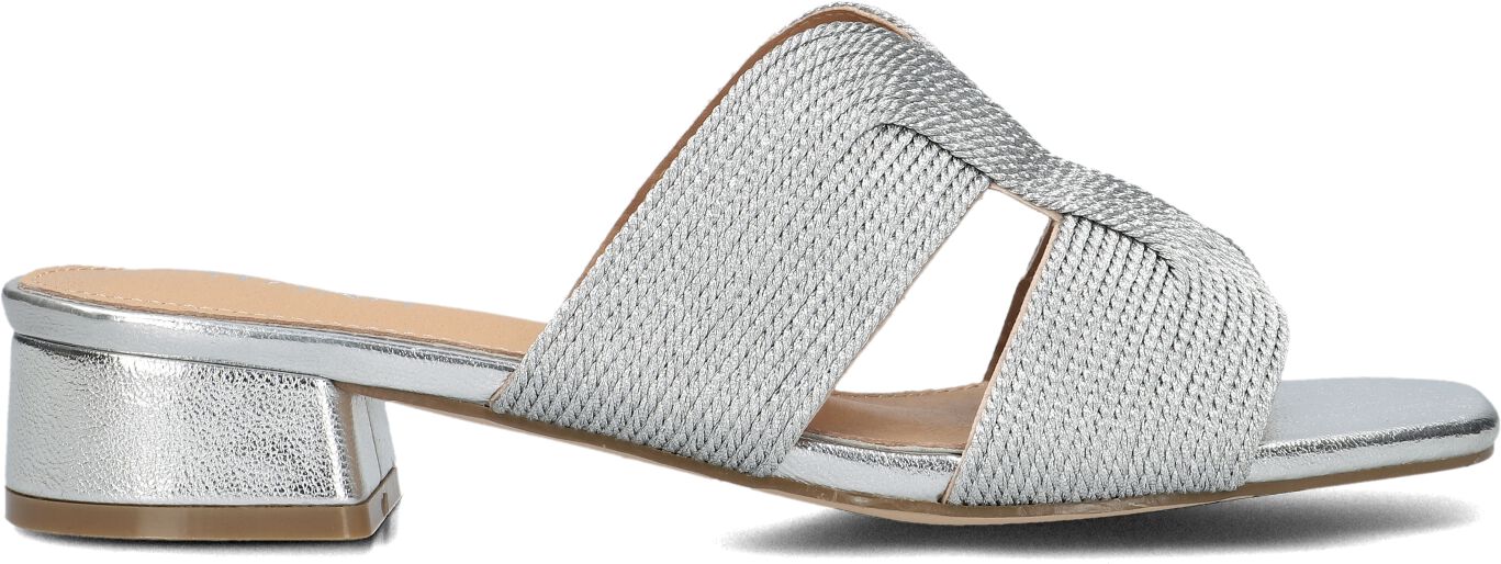 Ayana Slippers
Dames 0325-8, Maat: 37, Materiaal: Textiel, Kleur: Zilver
