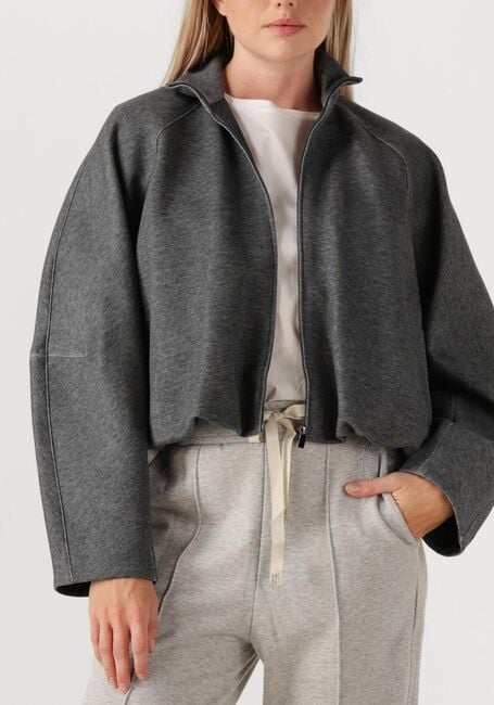 Grijze MAX MARA Blazer ERA - large