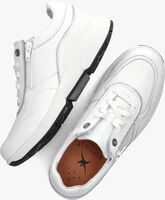 Witte XSENSIBLE Sneakers 30204.3/LIMA - medium