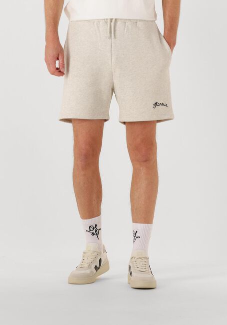 Grijze FLANEUR Broeken SIGNATURE SHORTS - large