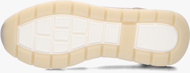 DL SPORT 6551 DL SPORT 6551 - large