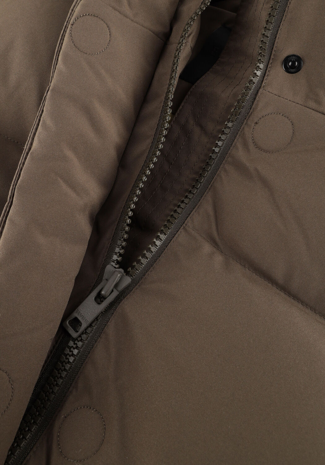 Groene ELVINE Gewatteerde jas VESPER - large