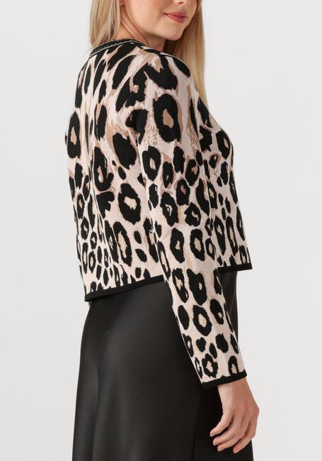 Bruine MARC CAIN COLLECTION Trui ZC 39.09 M21 - large