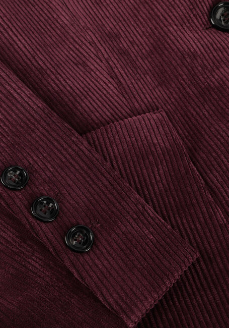 Bordeaux LUISA CERANO Blazer 428017/3556 - large