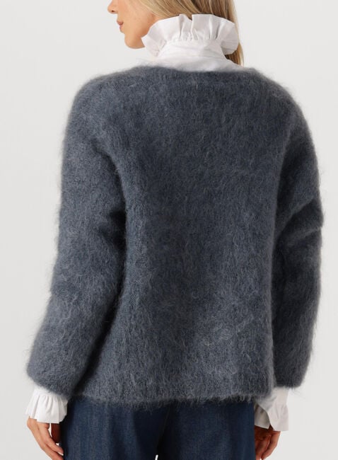Donkergrijze AMAYA AMSTERDAM Vest ROOS KNITWEAR - large