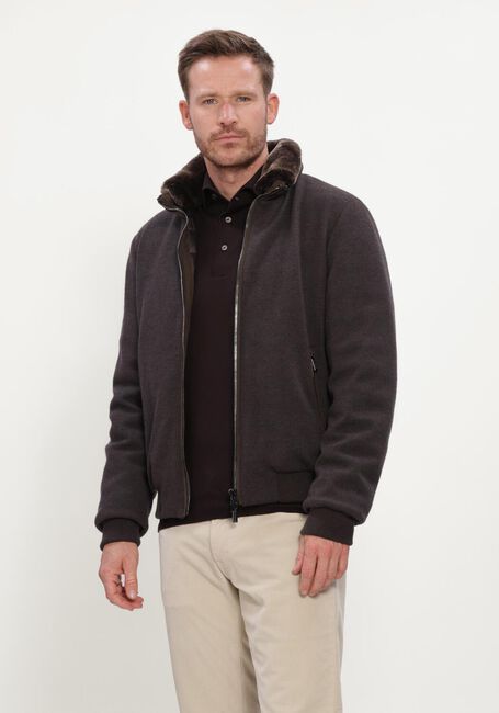 Bruine MOORER Jack BELLATI-MRW - large