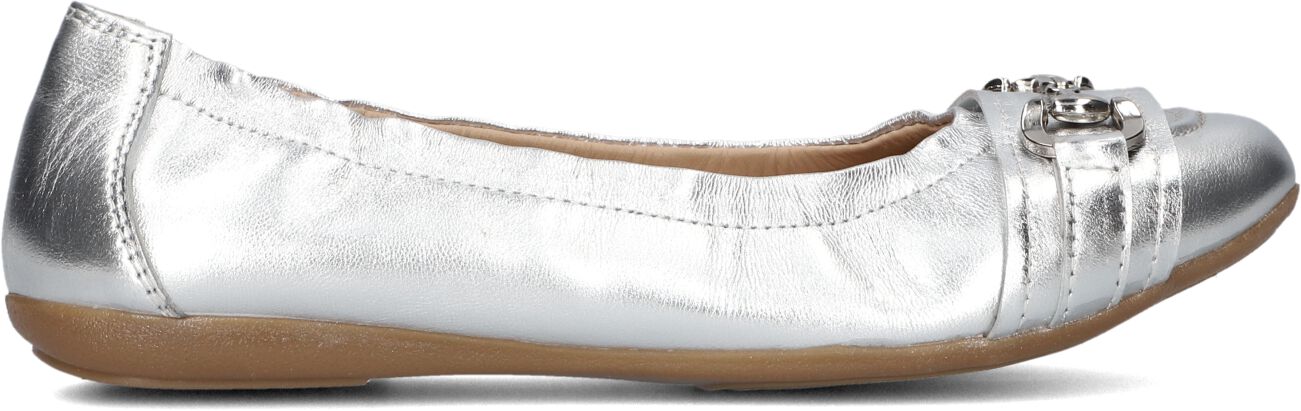 Ayana Ballerina
Dames 4936, Maat: 35, Materiaal: Leer, Kleur: Zilver
