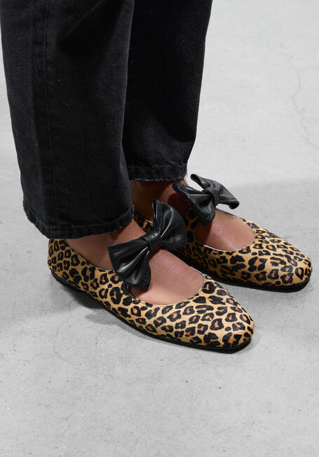 Bruine STEFANO LAURAN Ballerina's BAILARINA LAZO Bruine STEFANO LAURAN Ballerina's BAILARINA LAZO - large